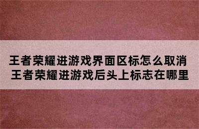 王者荣耀进游戏界面区标怎么取消 王者荣耀进游戏后头上标志在哪里